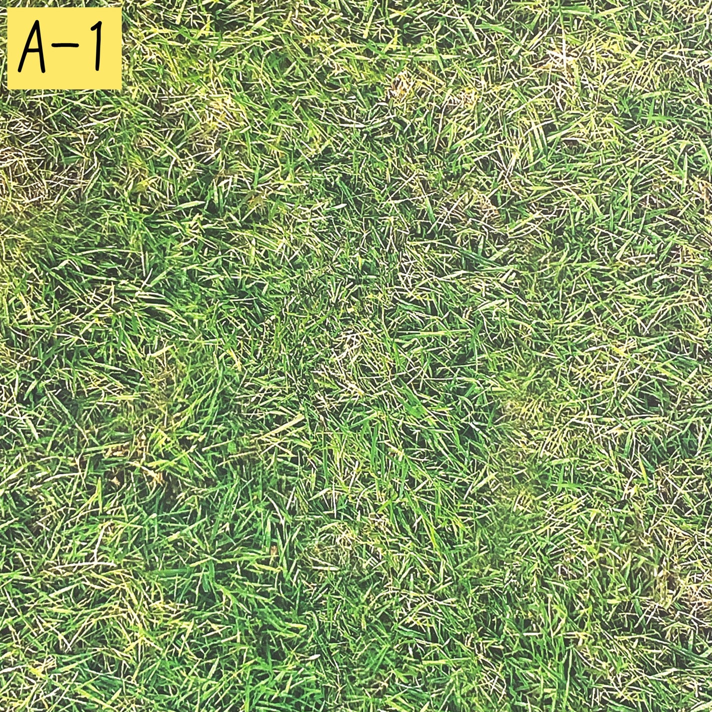 フォトジェニックシート/DAISO/その他を使ったクチコミ(2枚目)