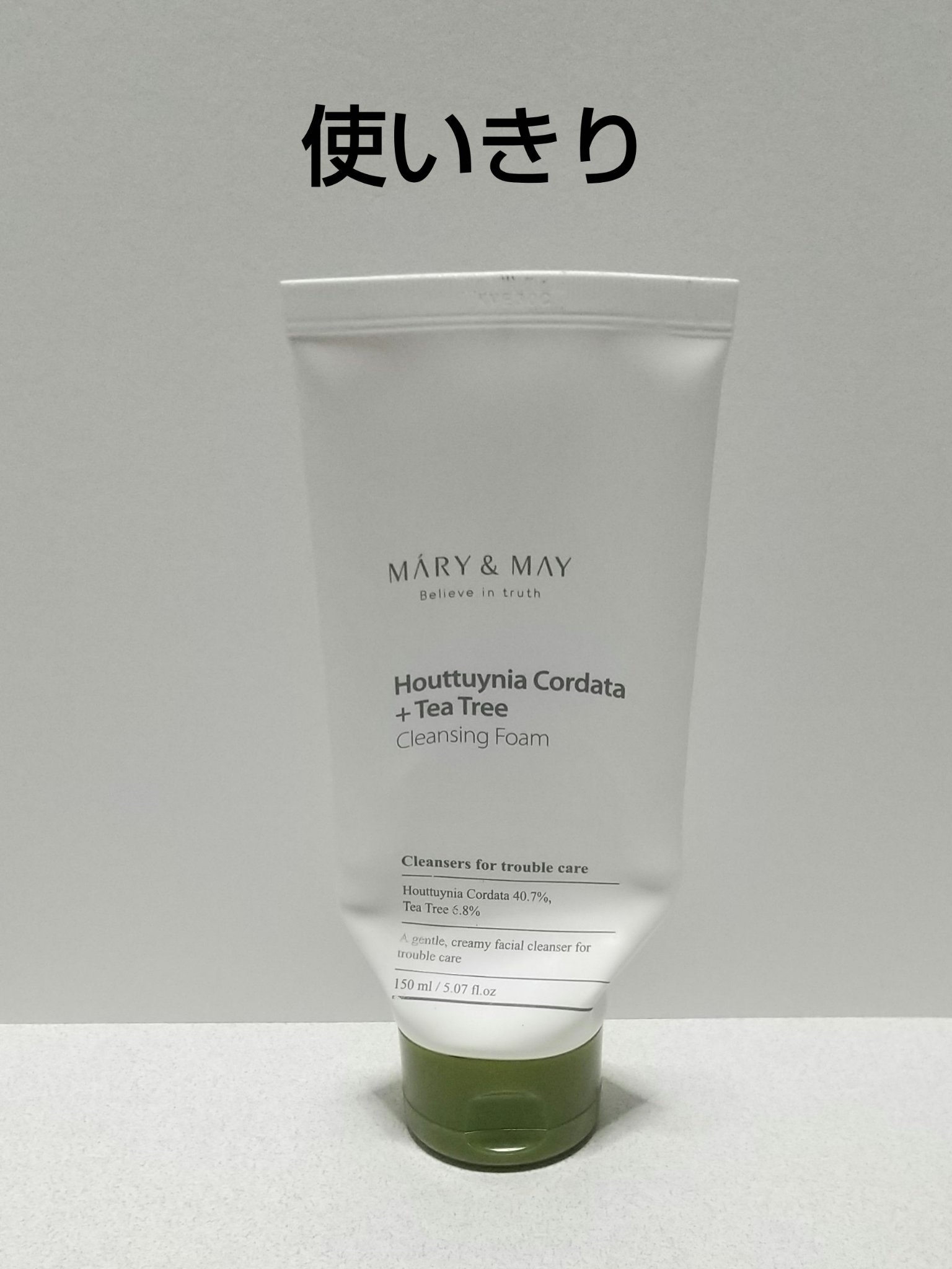 クレンジング＆フォーム 480mL パワーツリー クレンジング＆フォーム