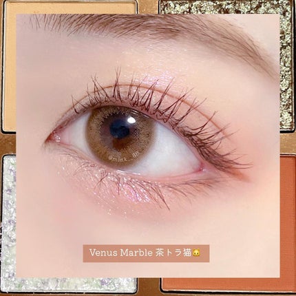 Venus Marble アイシャドウキャットシリーズ/Venus Marble/アイシャドウパレットを使ったクチコミ(5枚目)