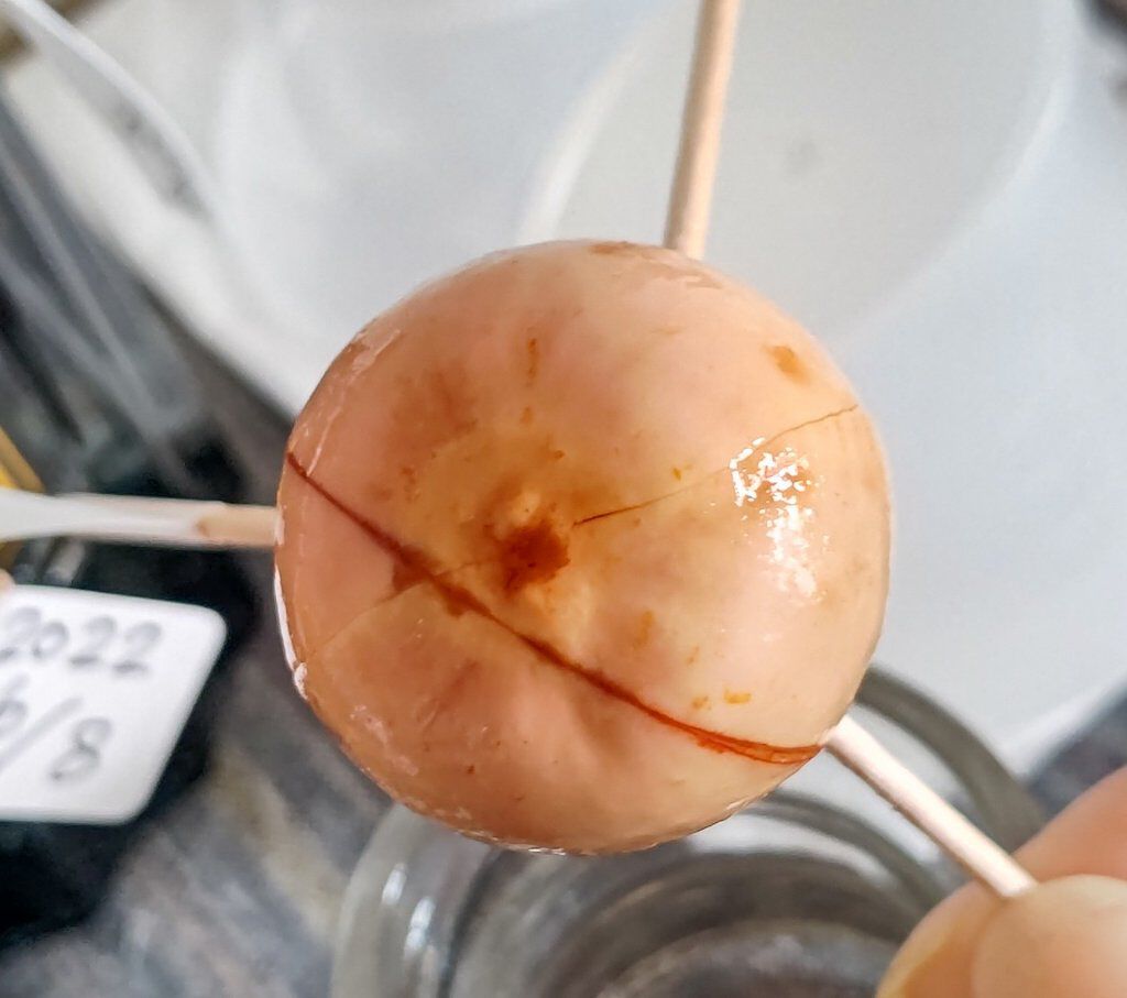 ガラス花瓶/DAISO/その他を使ったクチコミ（1枚目）