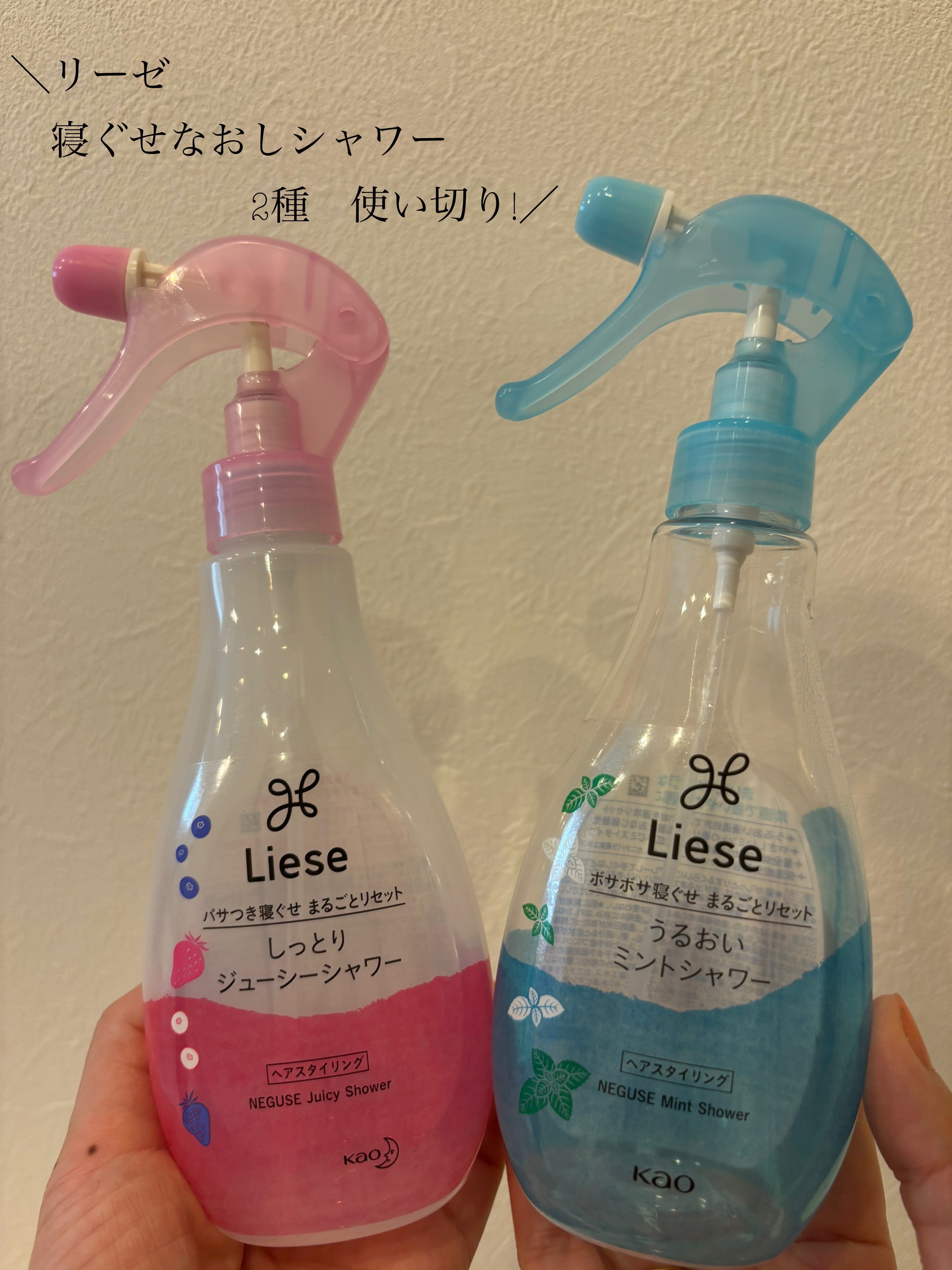 うるおいミントシャワー/リーゼ/プレスタイリング・寝ぐせ直しを使ったクチコミ（1枚目）