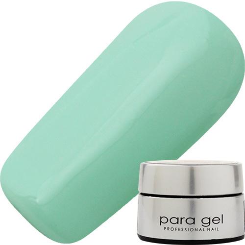 パラジェル DL02 アイランドグリーン