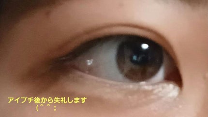 ヴィンテージモードアイズ/KATE/アイシャドウパレットを使ったクチコミ(4枚目)