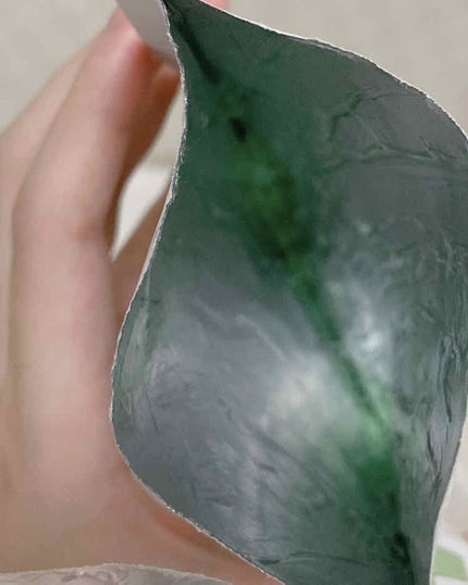 ノニアンプルマスク/celimax/シートマスク・パックを使ったクチコミ(3枚目)