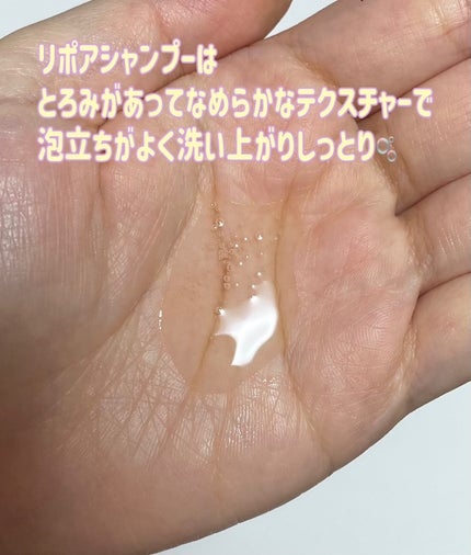 リポアシャンプー/リポアトリートメント/plus eau/市販シャンプーを使ったクチコミ(3枚目)