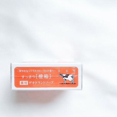 カウブランド 薬用すっきりデオドラントソープのクチコミ「牛乳石鹸×BEAMS JAPAN﻿⁣🐄
(橙箱﻿⁣)税込﻿¥⁣407
﻿⁣
赤箱でも青箱でもな.....」（3枚目）