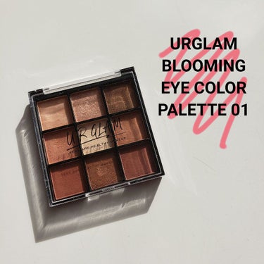 UR GLAM　BLOOMING EYE COLOR PALETTE/U R GLAM/アイシャドウパレットを使ったクチコミ（2枚目）