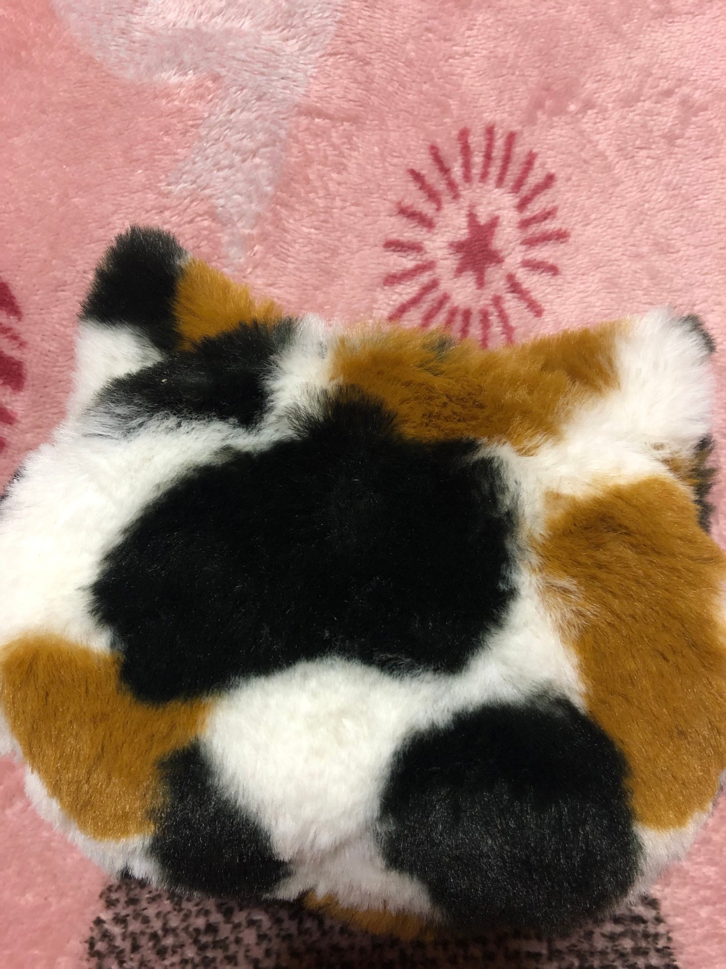 チョコミント好き🍫 on LIPS 「✼••┈┈••✼••┈┈••✼••┈┈••✼••┈┈••✼見た..」(1枚目)