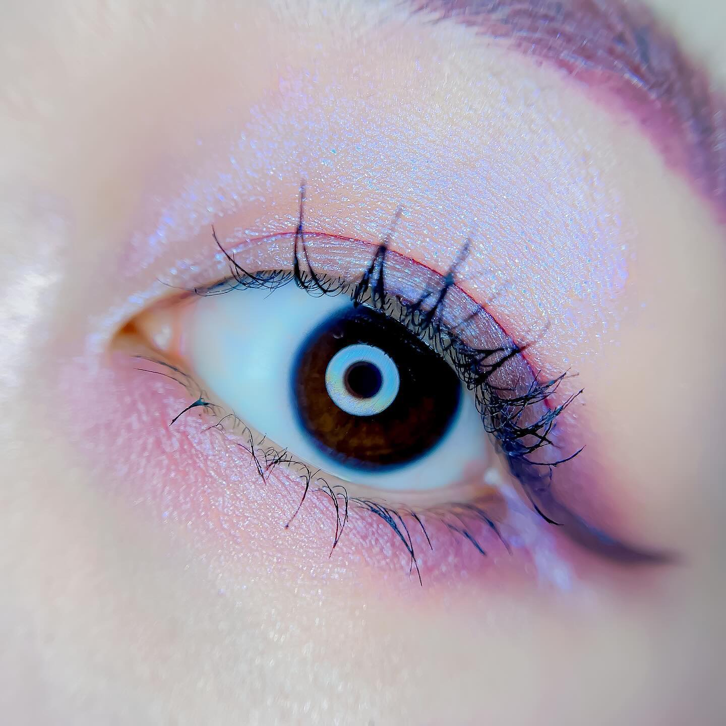 アイカラーレーション/LUNASOL/アイシャドウパレットを使ったクチコミ（3枚目）