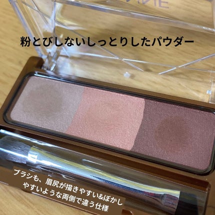 ノーズ&アイブロウパウダー/CEZANNE/パウダーアイブロウを使ったクチコミ(2枚目)