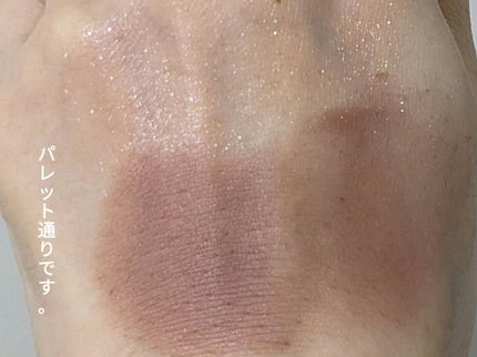 インザミラーアイパレット/Ririmew/アイシャドウパレットを使ったクチコミ(8枚目)