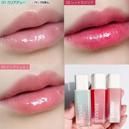 ナチュラルブルームリップオイルセラム 3色セット/PINATE/リップグロスを使ったクチコミ(8枚目)