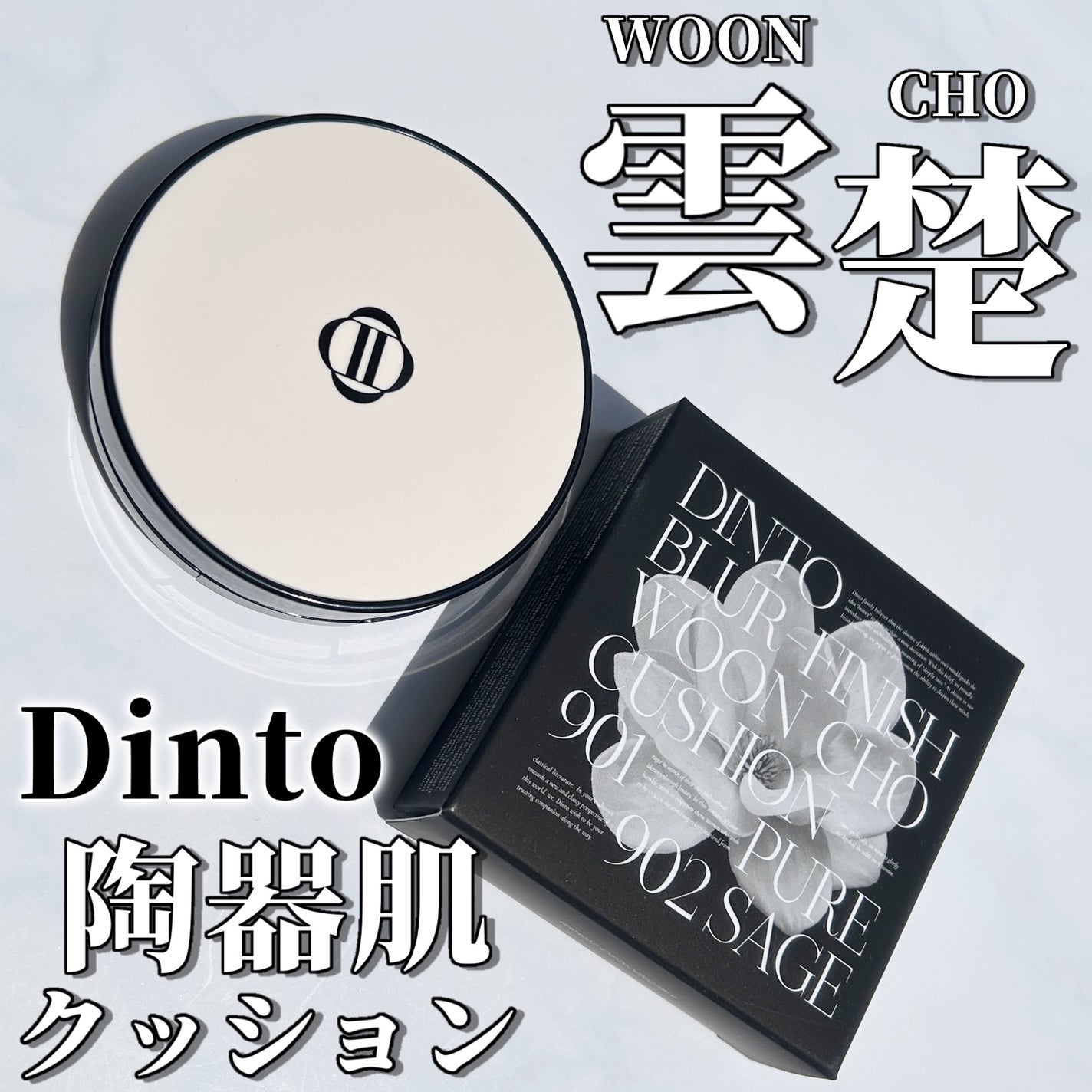 ブラーフィニッシュ雲楚クッション/Dinto/クッションファンデーションを使ったクチコミ(1枚目)