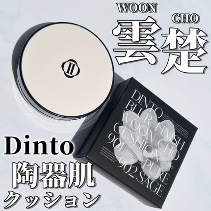 ブラーフィニッシュ雲楚クッション/Dinto/クッションファンデーションを使ったクチコミ(1枚目)