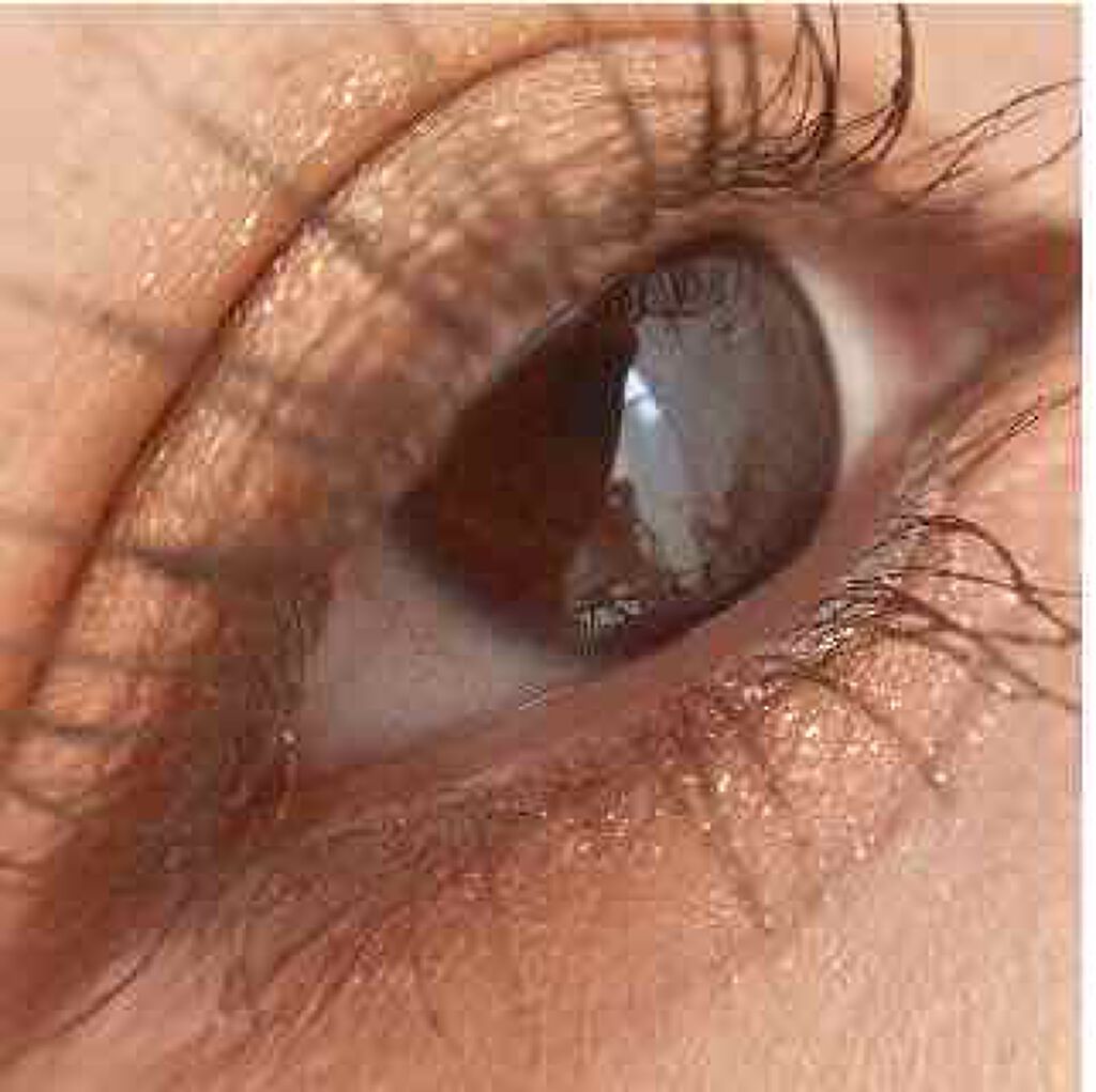 ラッシュキング(旧)/MAJOLICA MAJORCA/マスカラを使ったクチコミ（3枚目）