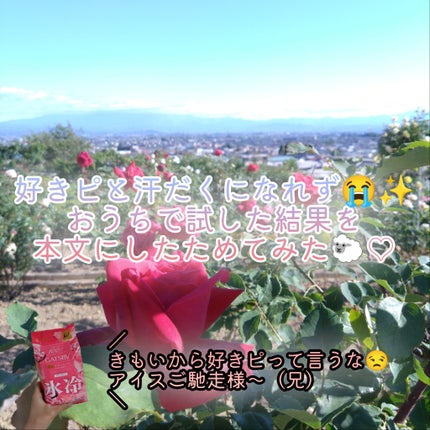 ã¢ã€ã¹ããªãã©ã³ã ããã£ããŒã㌠ããªãŒãºããŒã ïŒåŸ³çšã¿ã€ãïŒ (å»è¬éšå€å)/ã®ã£ãããŒ/ããã£ã·ãŒãã䜿ã£ãã¯ãã³ãïŒ5æç®ïŒ