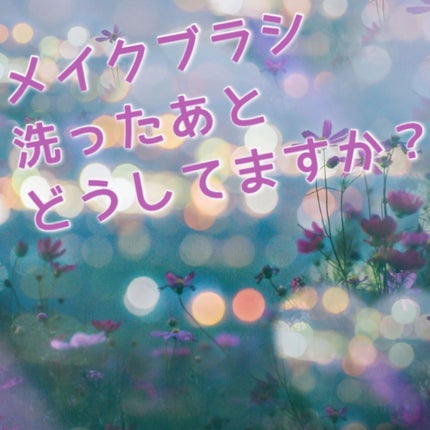 #159 デュオ ファイバー ブラッシュ ブラシ/M・A・C/メイクブラシを使ったクチコミ(1枚目)