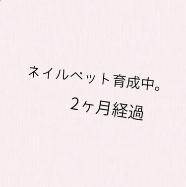 ネイルオイル/セリア/ネイルオイル・トリートメントを使ったクチコミ（1枚目）