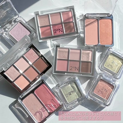 ベターミーアイパレット/2aN/マルチパレットを使ったクチコミ(8枚目)