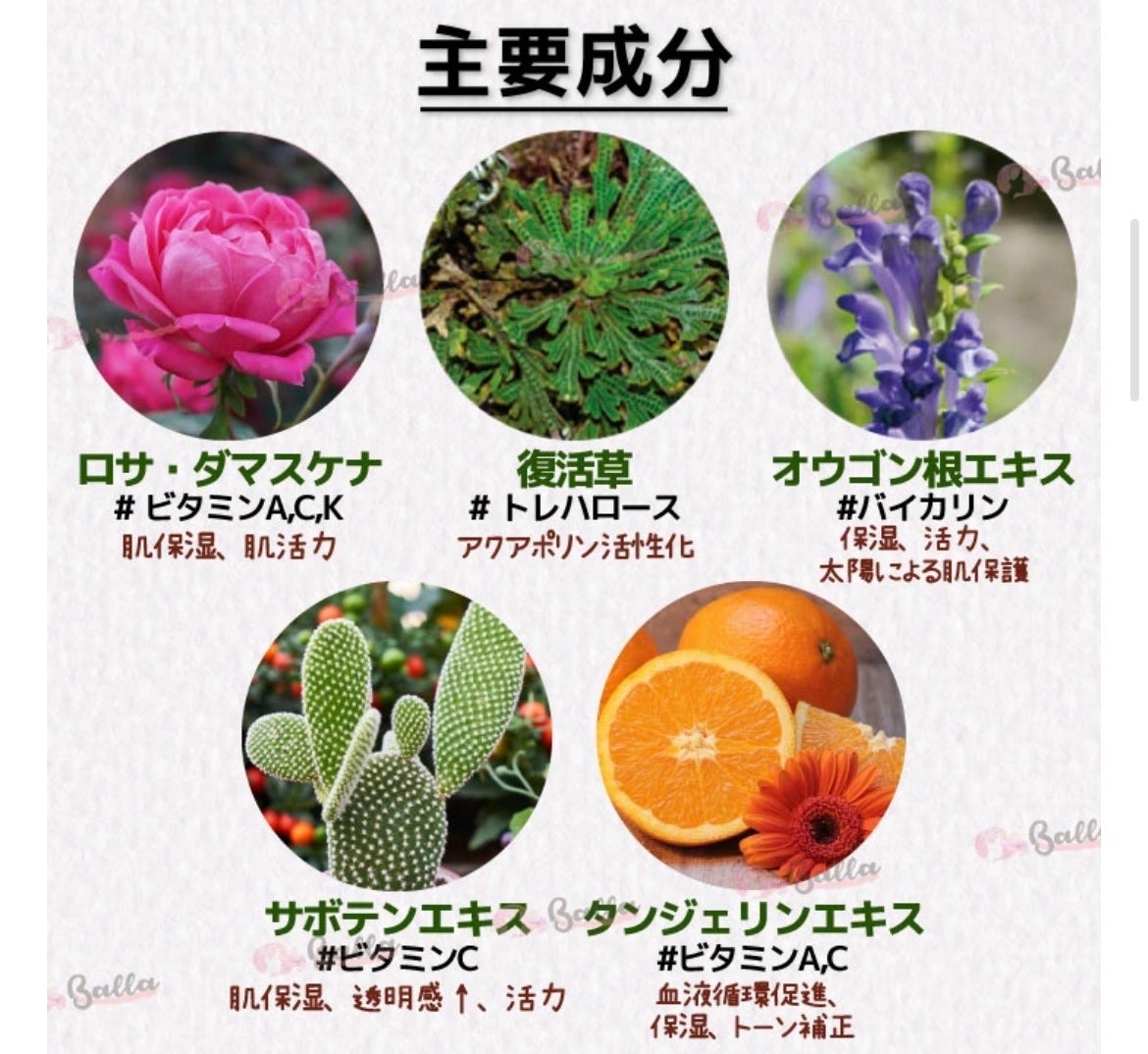 ビタクリーム セット VITA CICA (50ml+5ml+5ml)/Dr.aetoc/フェイスクリームを使ったクチコミ(4枚目)