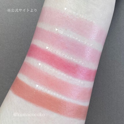 ステイオンバームルージュ(ティントタイプ)/キャンメイク/リップティントを使ったクチコミ(2枚目)