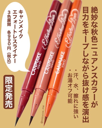 エフォートレスライナー/キャンメイク/リキッドアイライナーを使ったクチコミ(2枚目)