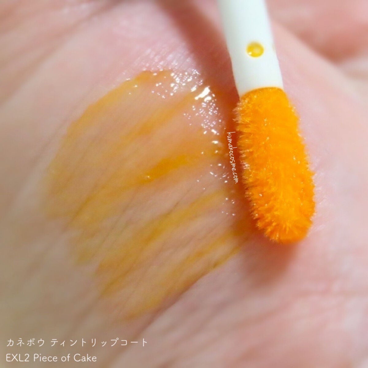 ティントリップコート/KANEBO/リップグロスを使ったクチコミ(4枚目)