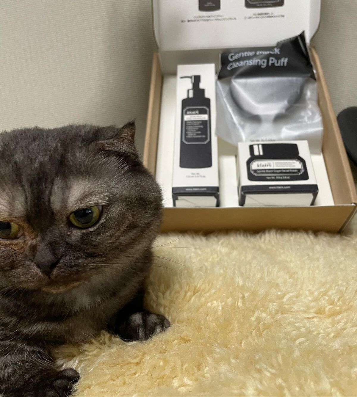 ジェントルブラックディープクレンジングオイル(150ml)/Klairs/オイルクレンジングを使ったクチコミ（1枚目）