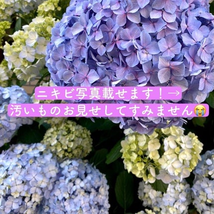 エクストラマイルドスキンローションI/ニュースキン/化粧水を使ったクチコミ(1枚目)