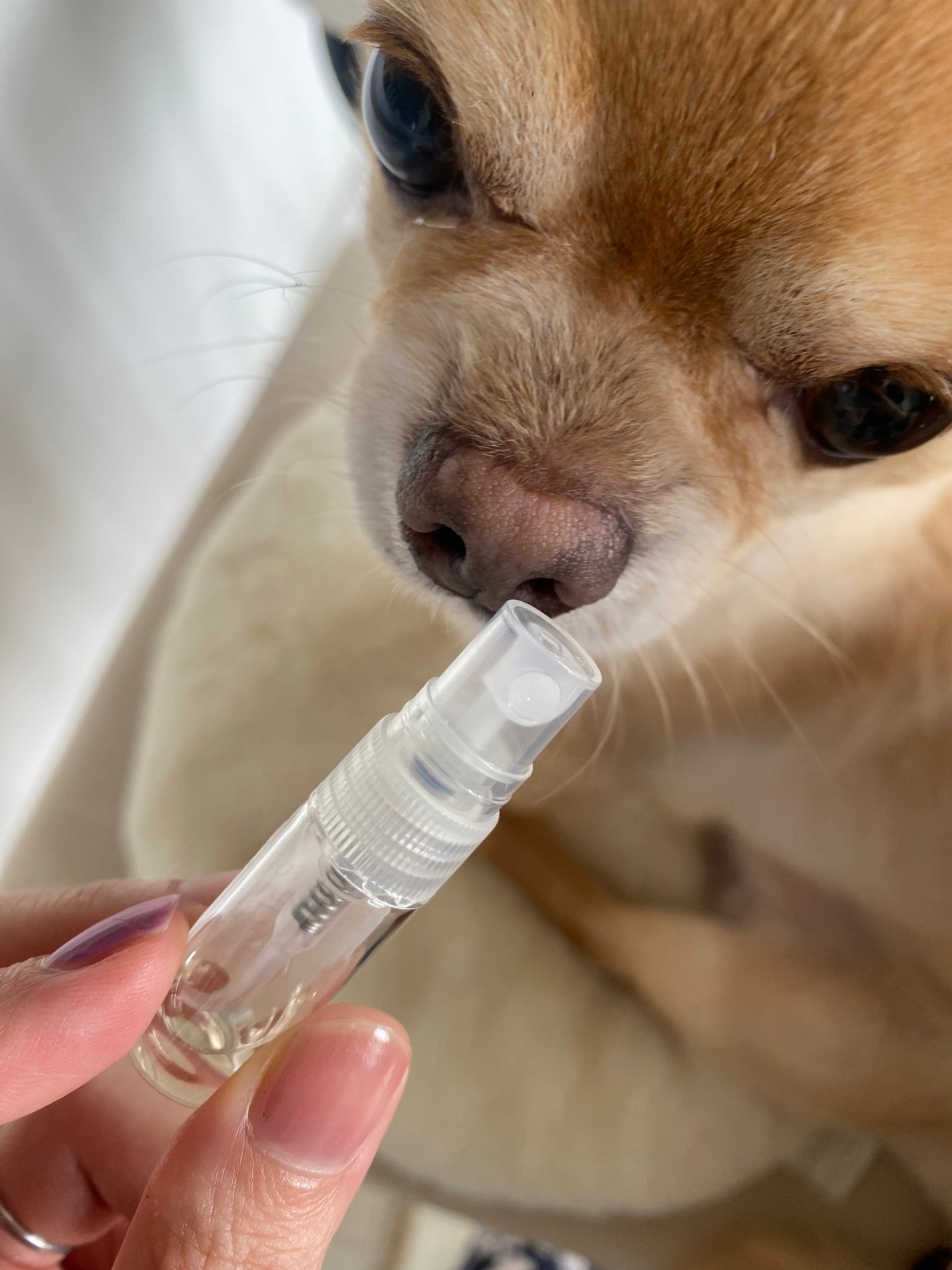 ブルー ドゥ シャネル オードゥ パルファム(ヴァポリザター)/CHANEL/香水(メンズ)を使ったクチコミ(4枚目)