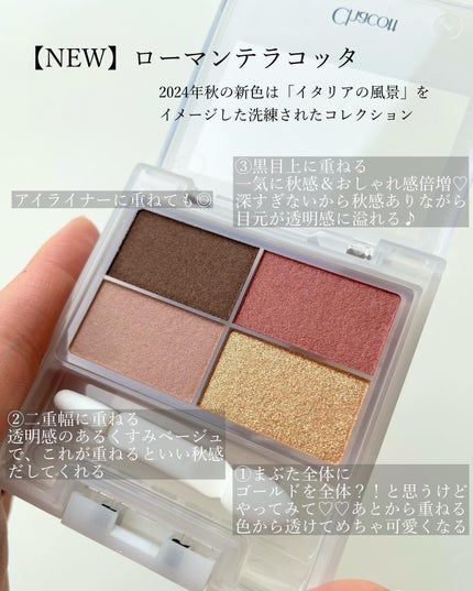 フェイスカラーパレット/チャコット・コスメティクス/アイシャドウパレットを使ったクチコミ(4枚目)