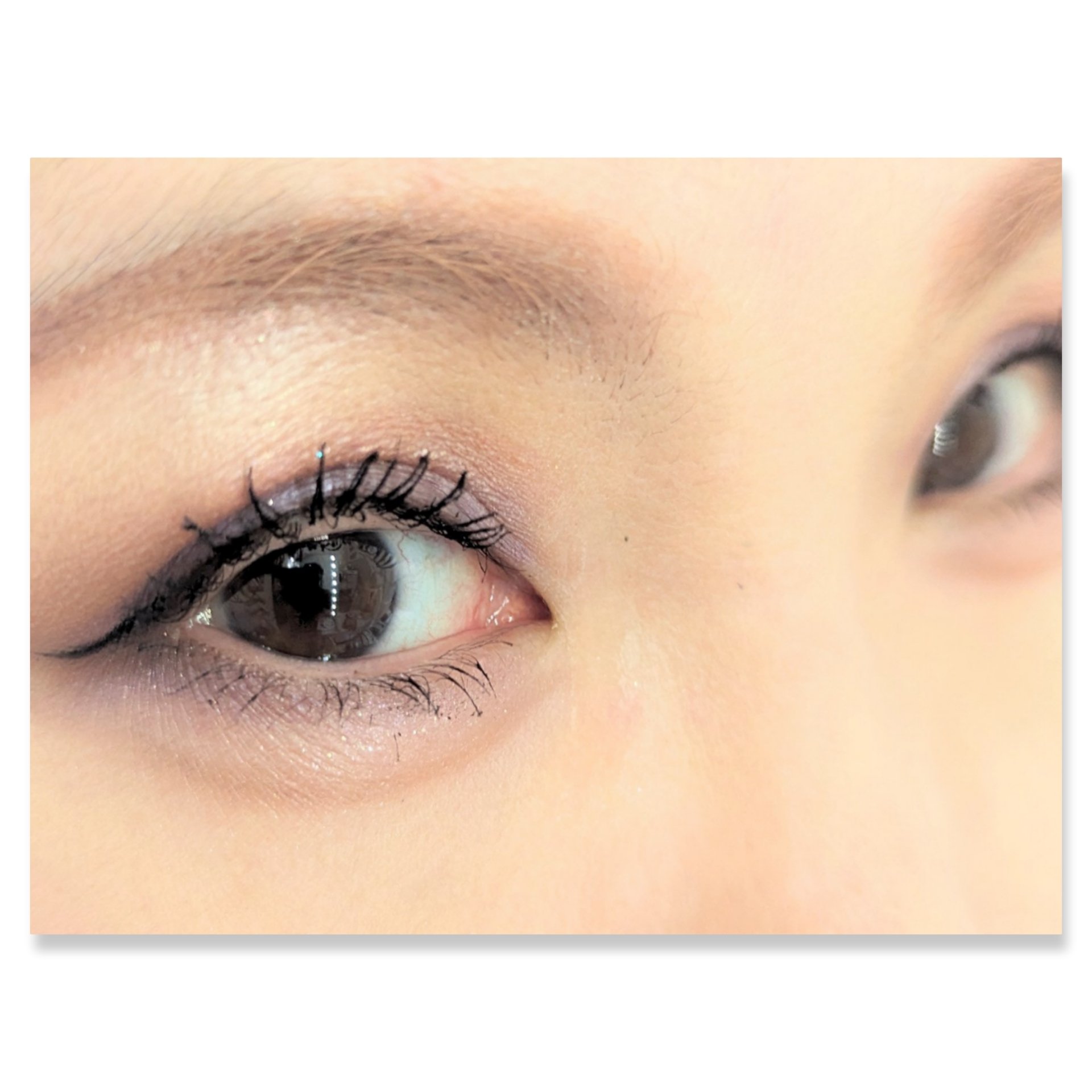 ワンダー スウィート アイシャドウ 008 神秘的なオーラを放つ アールグレイショコラ/リンメル ロンドン/アイシャドウパレットを使ったクチコミ（2枚目）