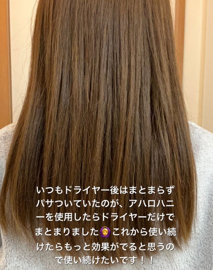 ハイドロ&リペア ジェントル ヘアミスト/AHALO HONEY/プレスタイリング・寝ぐせ直しを使ったクチコミ(2枚目)