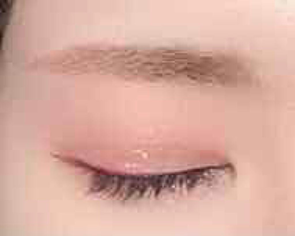 紫禁城アイシャドウパレット/故宫时空/アイシャドウパレットを使ったクチコミ(4枚目)