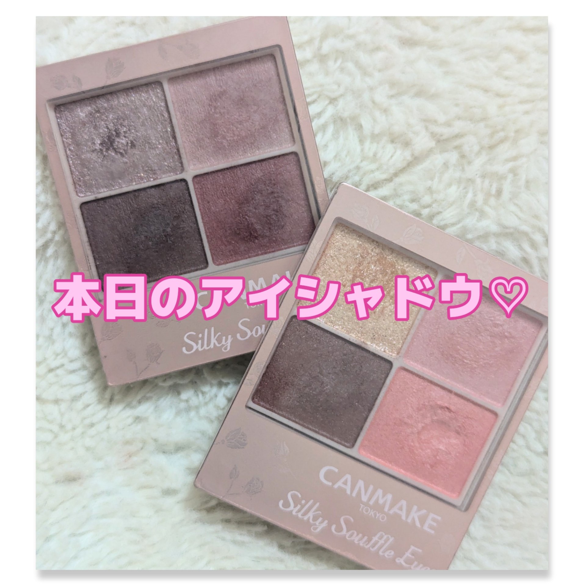 シルキースフレアイズ（マットタイプ）/キャンメイク/アイシャドウパレットを使ったクチコミ（1枚目）