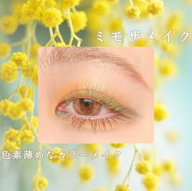 ~ 🌼　ふんわりミモザメイク　🌼 ~


春メイク第三弾春のお花ミモザをイメージしてイエローシャドウがメインのカラーメイクをしてみました~🌼✨

こちらもさくらメイク同様挑戦しやすい（？）カラーメイクに