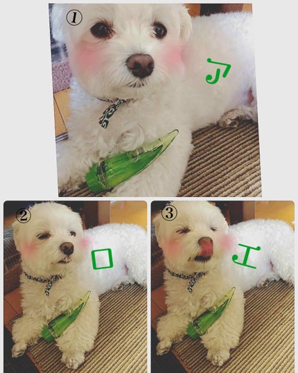 アロエ99% スージングジェル/HOLIKA HOLIKA/ボディローションを使ったクチコミ(1枚目)