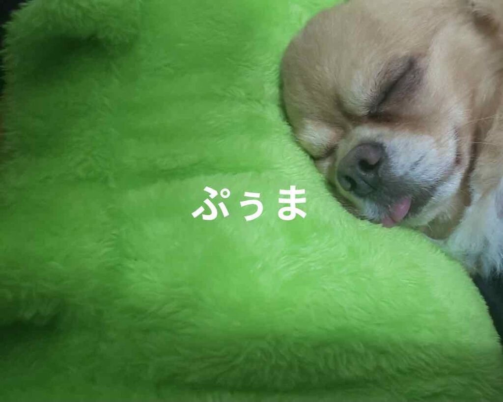 チョコラBBドリンクビット(医薬品)/チョコラBB/その他を使ったクチコミ(6枚目)