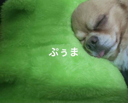 チョコラBBドリンクビット(医薬品)/チョコラBB/その他を使ったクチコミ(6枚目)