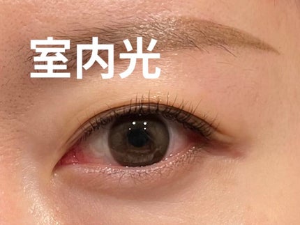 See Through Kristin/Hapa kristin/カラーコンタクトレンズを使ったクチコミ(3枚目)