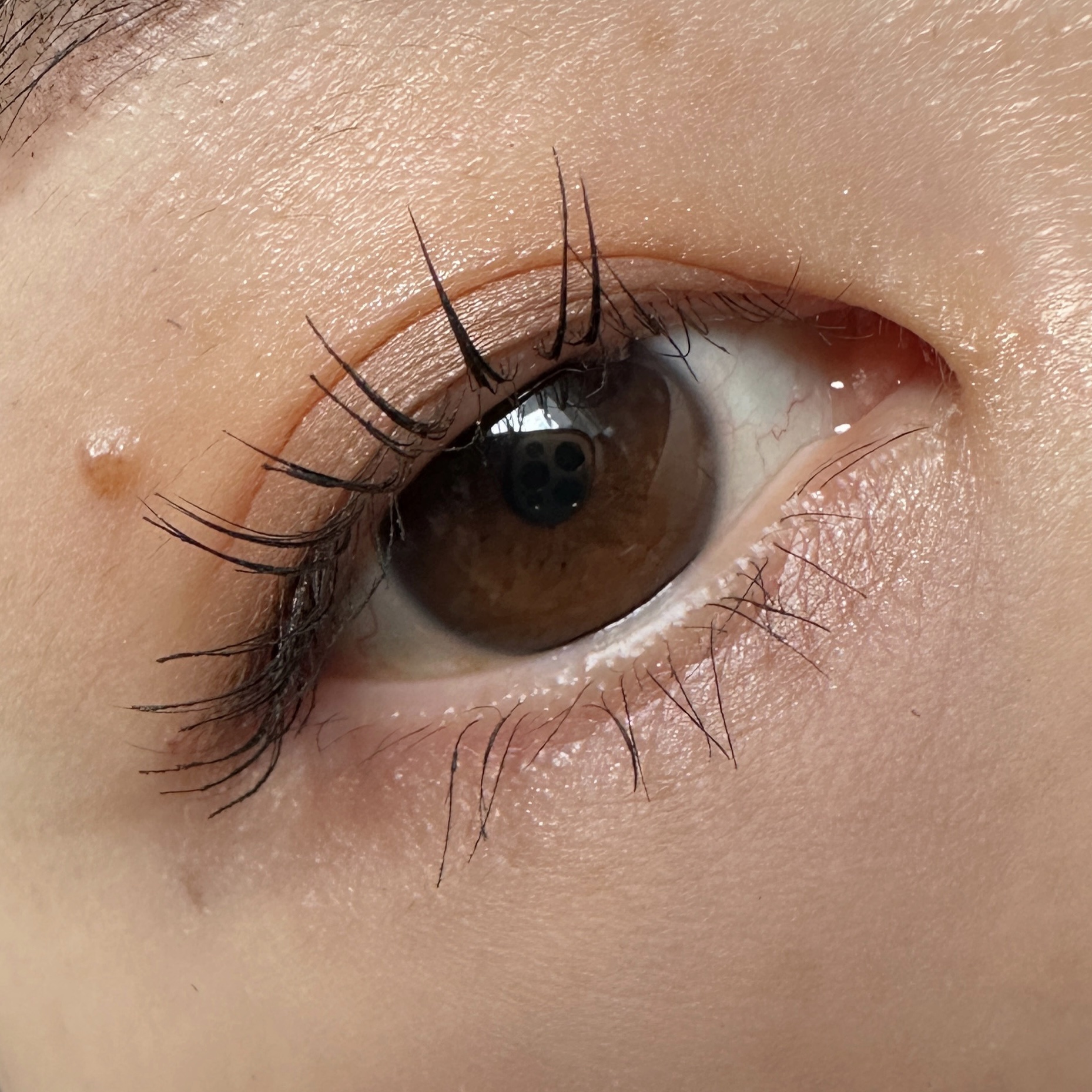 バイカラーアイズ/Enamor/アイシャドウパレットを使ったクチコミ（2枚目）