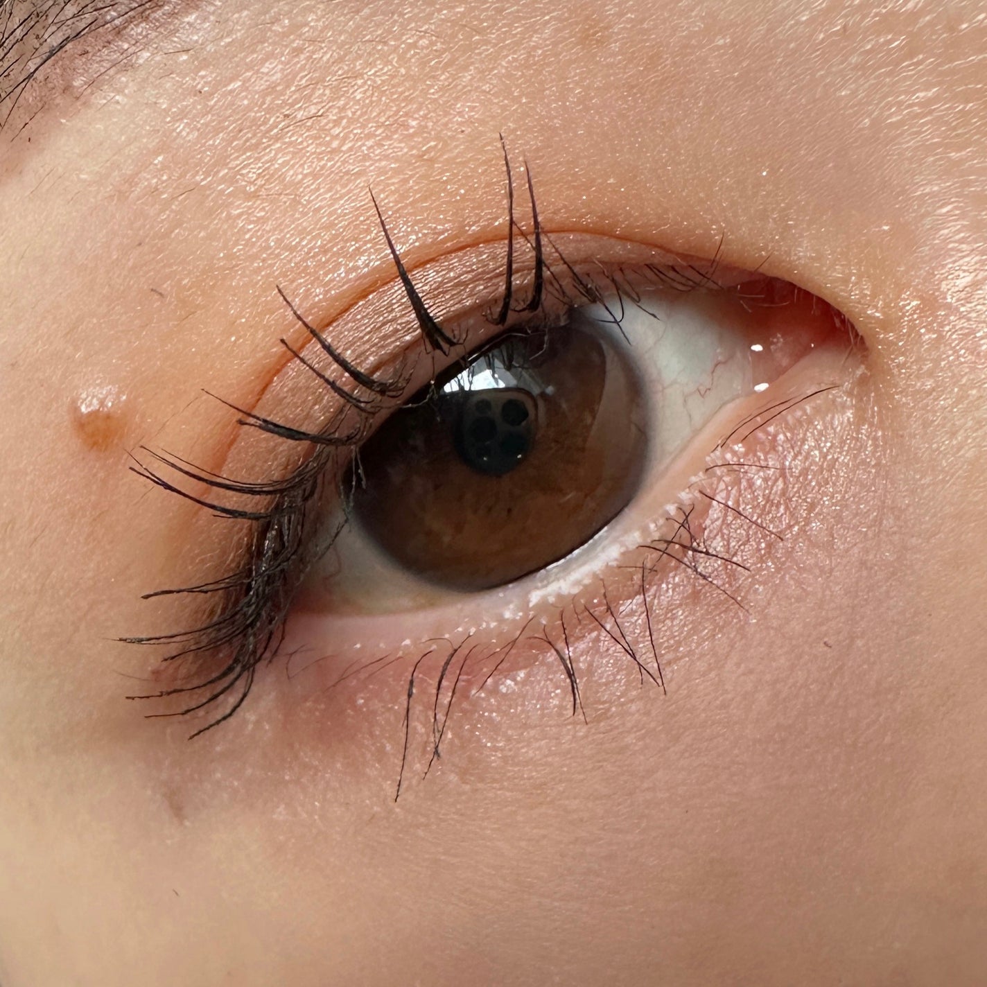 バイカラーアイズ/Enamor/アイシャドウパレットを使ったクチコミ(2枚目)