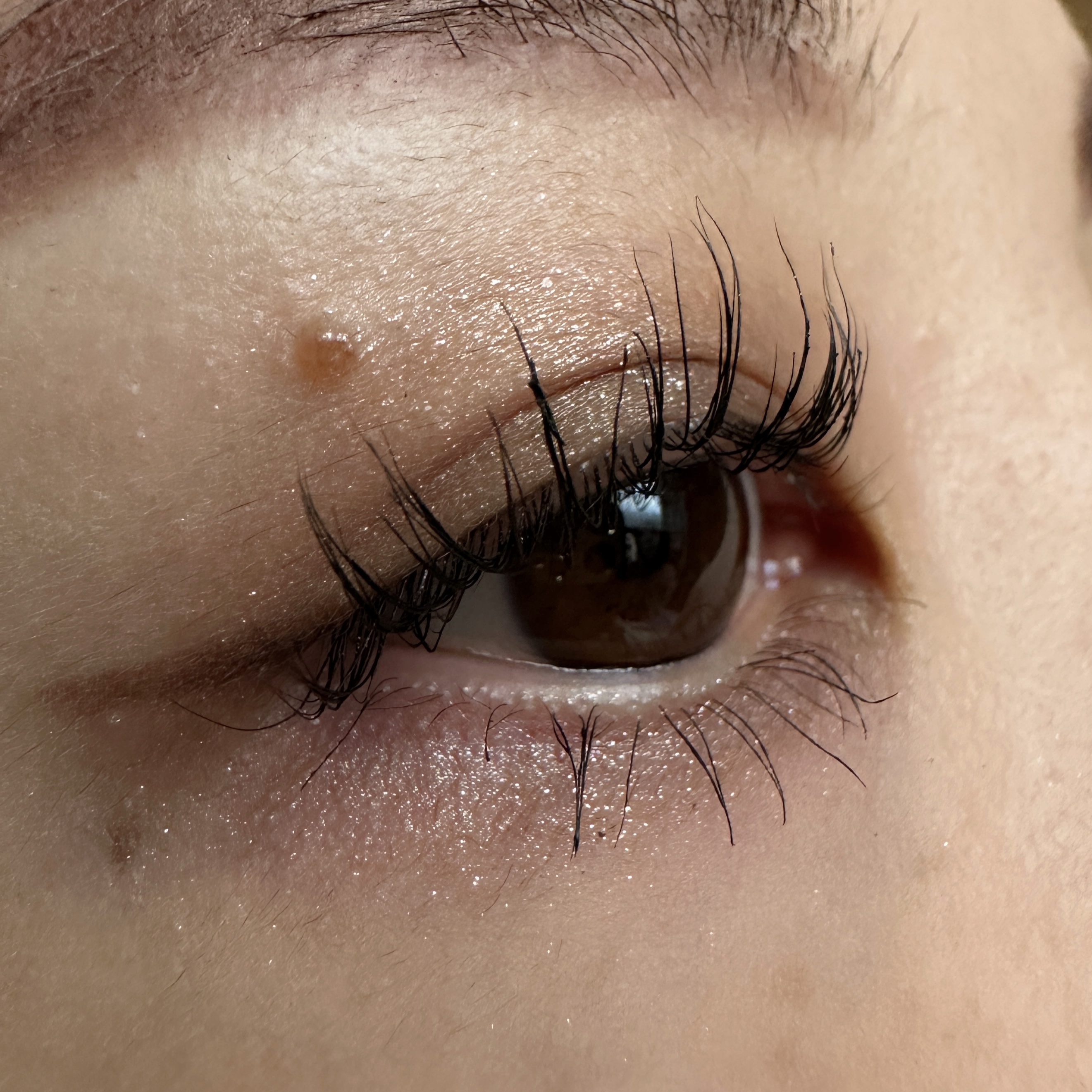 パーフェクトエクステンション マスカラ/D-UP/マスカラを使ったクチコミ（2枚目）