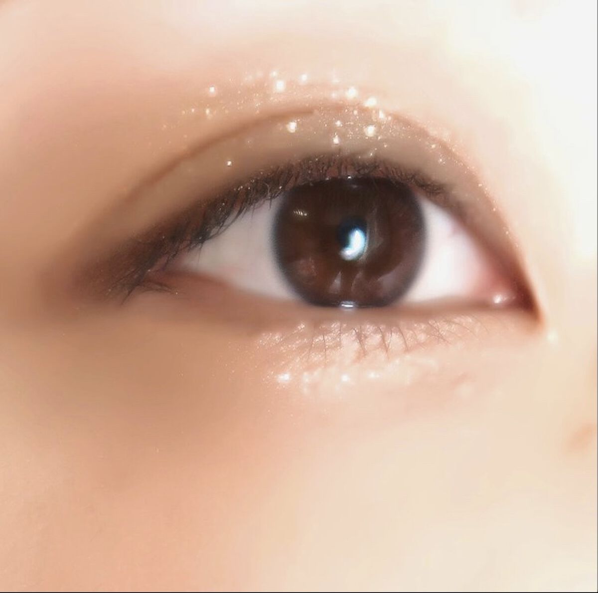 カラーパウダー/ANNA SUI/その他化粧小物を使ったクチコミ（3枚目）