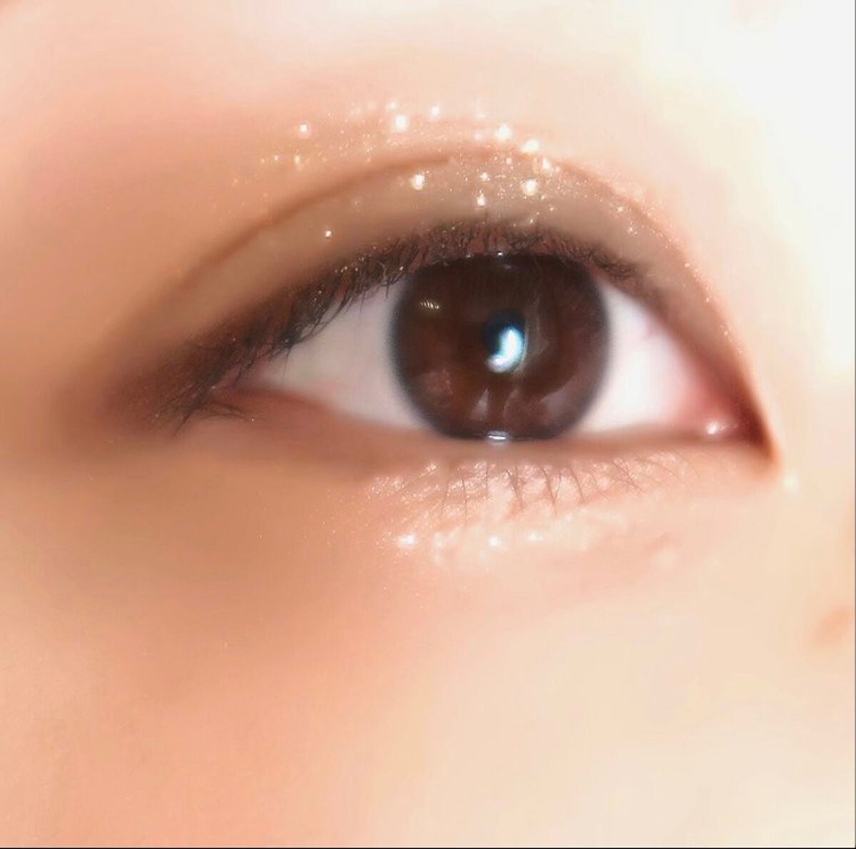 カラーパウダー/ANNA SUI/その他化粧小物を使ったクチコミ(3枚目)