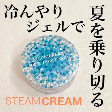 スチームクリーム アイスミント ジェル/STEAMCREAM/ボディローションを使ったクチコミ（1枚目）