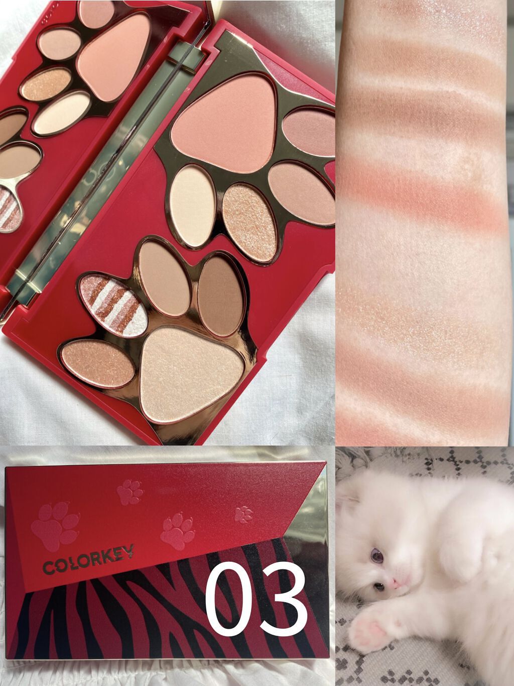 トラ十色アイシャドウパレット/COLORKEY/アイシャドウパレットを使ったクチコミ（2枚目）