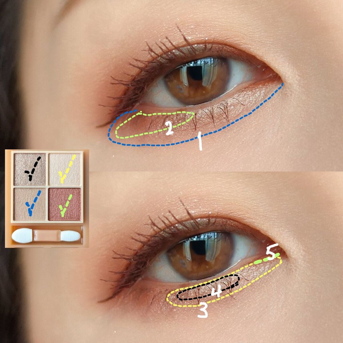 ベージュトーンアイシャドウ/CEZANNE/アイシャドウパレットを使ったクチコミ(6枚目)