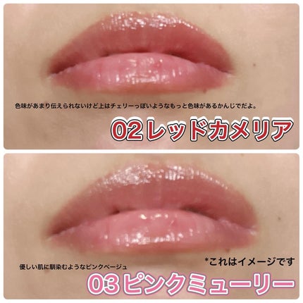 ナチュラルブルームリップオイルセラム 3色セット/PINATE/リップグロスを使ったクチコミ(7枚目)