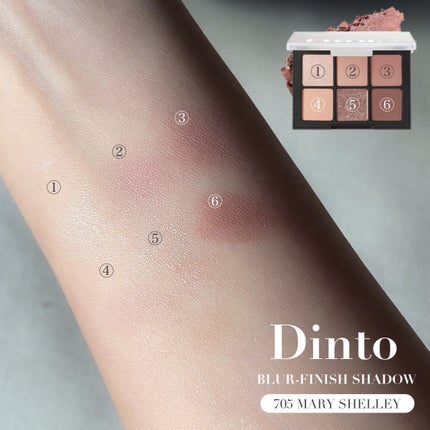 ブラーフィニシュシャドウパレット/Dinto/アイシャドウパレットを使ったクチコミ(7枚目)